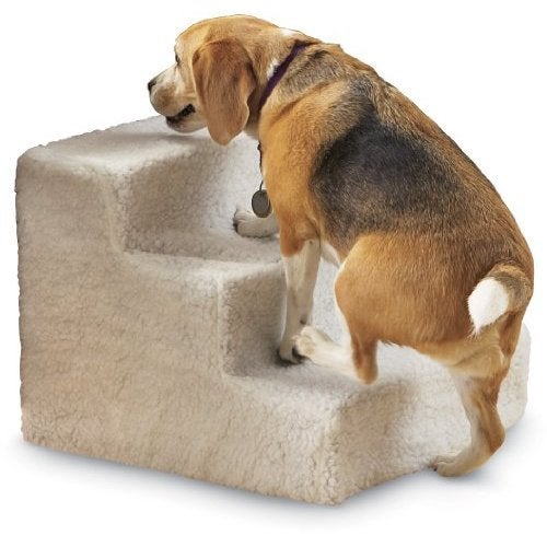 Doggysteps outlet